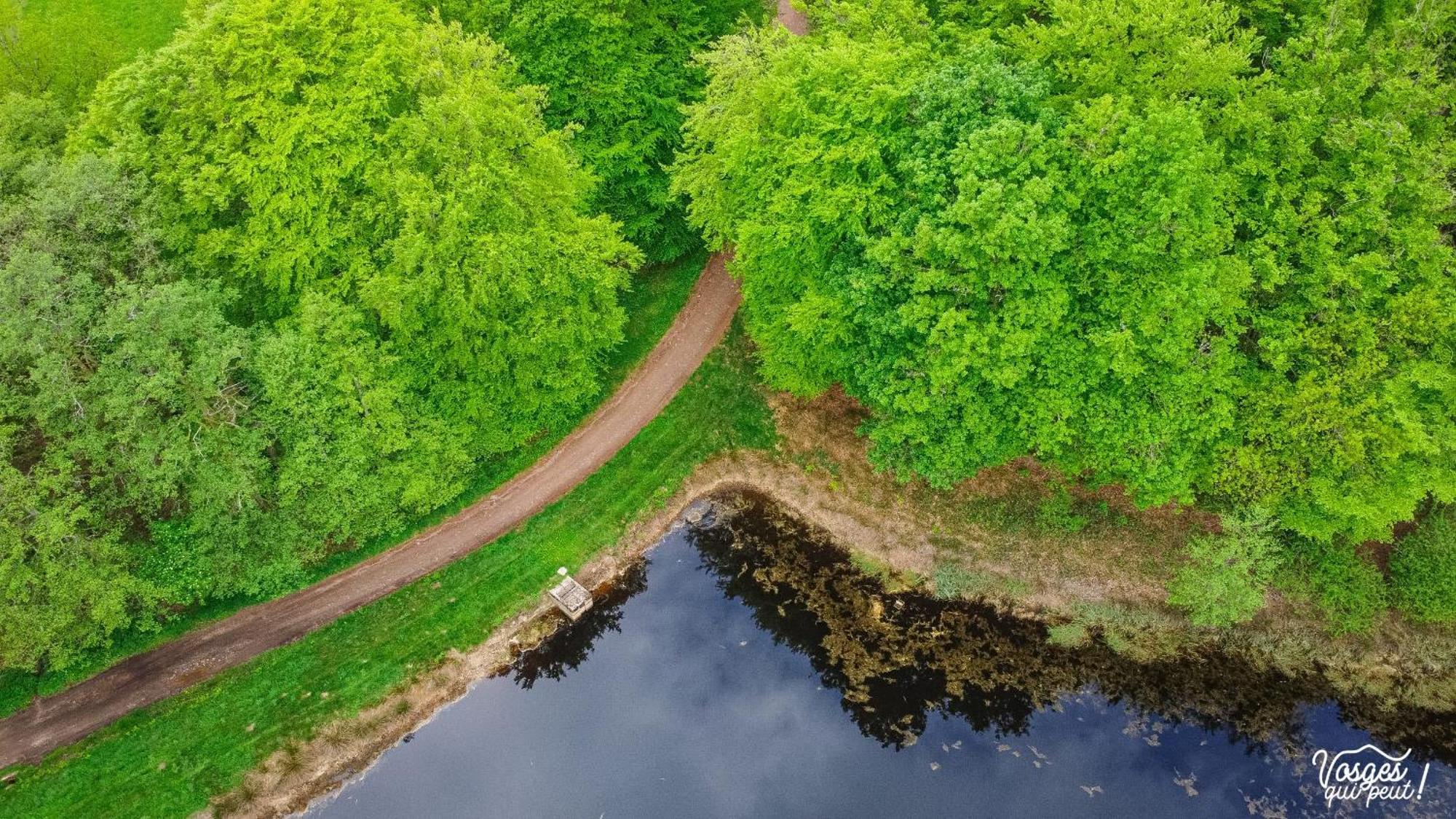 Villa Des Capucins Ликсей-ле-Бен Экстерьер фото